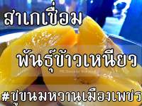 สาเกเชื่อม 1กิโลกรัม