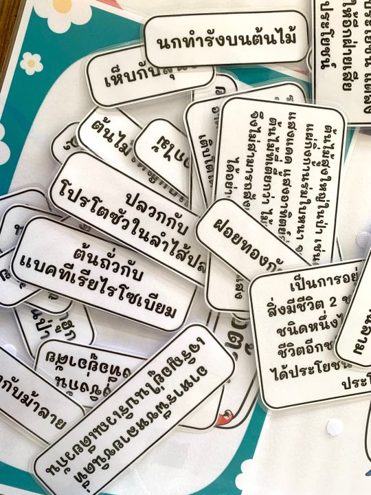 สื่อการสอนวิทย์-จับคู่ความสัมพันธ์สิ่งมีชีวิต-8-ภาวะ