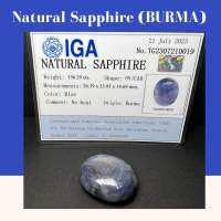 Natural Sapphire พลอยบลูแซปไฟร์ หรือ นิหร่า พม่า  พลอยดิบ ไซต์ใหญ่พิเศษ 156.29 carat แถมฟรีใบเซอร์IGA