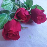 กุหลาบแดงแรกแย้ม ดอกกุหลาบกำมะหยี่ดอกสวยมากสินค้าพร้อมส่ง