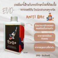 Evo+ Anti Bac เวชภัณฑ์สำหรับการรักษาโรคที่ติดเชื้อจากแบคทีเรีย ในปลาสวยงามทุกชนิด