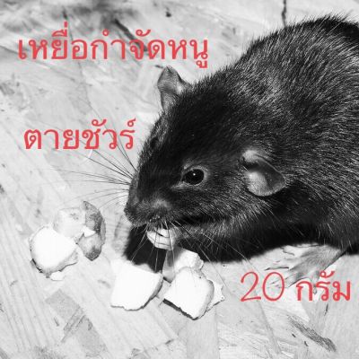 เหยื่อกำจัดหนู สูตรใหม่กินดี มีธัญพืช ขนาด20กรัม 1 ซอง วางได้ 3-4กอง