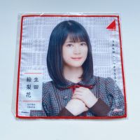 Nogizaka46 Ikuta Erika Ikuchan ผ้าเช็ดหน้า (Made in Japan)