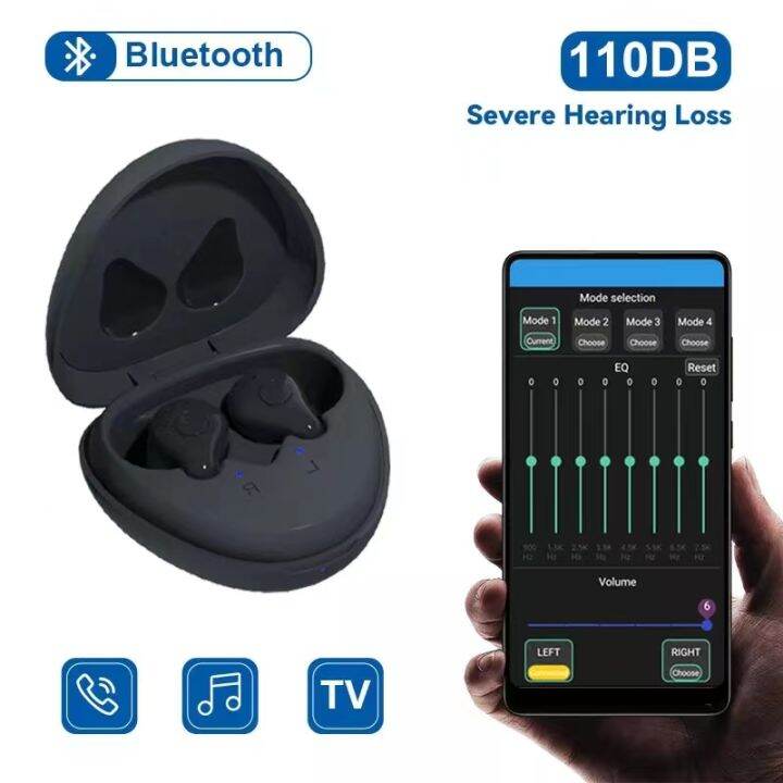 Smart 16 Channel Bluetooth Charging Hearing Aid Programmable Digital