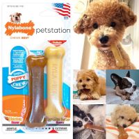 Nylabone Gentle/Power Chew ของเล่นขัดฟัน