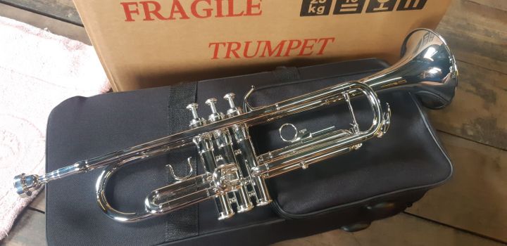 trumpet-สีเงิน-lignatone