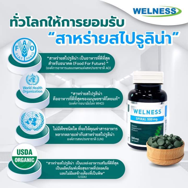 wellness-สาหร่ายสไรูลิน่าเพื่อสุขภาพจำนวน100เม็ด