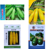 เมล็ด ซูกินีเขียว  ( zucchini Seed )  สายพันธุ์ OP มีให้เลือก 4 แบบค่ะ