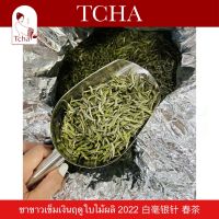 TCHA | ชาขาวเข็มเงินคุณภาพพรีเมียม ฤดูใบไม้ผลิ 2022 白毫银针 春茶 Premium Silver Needle White Tea Spring Season 2022