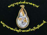 พญาภุชงค์นาคราช เหรียญประจำคนเกิดวันจันทร์ เสริมเมตตา วาสนาได้ครอบครอง