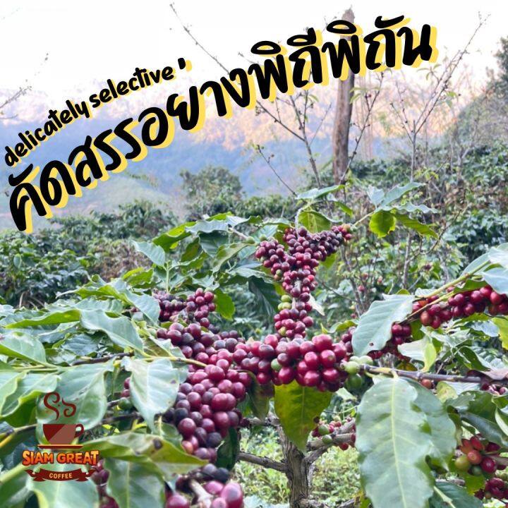 ขนาด-250-g-เมล็ดกาแฟคั่วน่าน-ดอยสวนยาหลวง-250-g