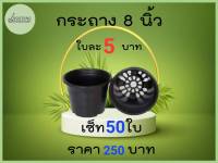 กระถางพลาสติกดำ 8 นิ้ว เกรดA