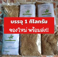 **มาใหม่**งอก100% ผลิตไม่ค้างปี เมล็ดพันธุ์หญ้ารูซี่ หญ้ารูซี่ 1kg พันธุ์หญ้า รูซี่ เมล็ดหญ้า