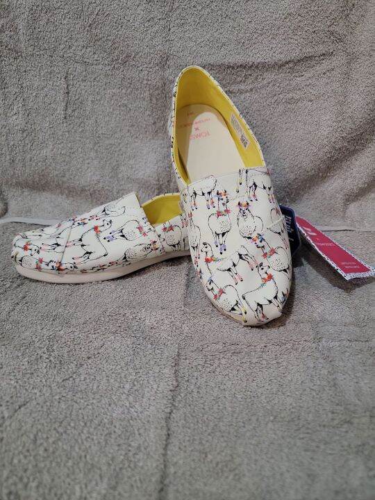 toms shoes size 6