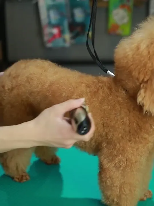 XAIVERกรรไกรตัดขนสุนัข ที่ตัดขนสุนัข ปัตตาเลี่ยน หมา แบตเตอร์เลี่ยน สุนัขตัดขนแมว การชาร์จ USB เหมาะสำหรับสัตว์เลี้ยงทุกชนิด