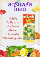 สตรีมพลัสโกล์ดช่วยเร่งการเจริญเติบโต