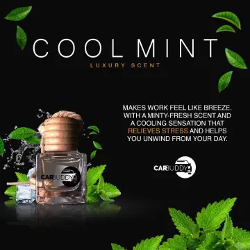 Shop Car Freshener Mint online