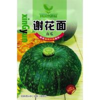 เมล็ด ฟักทอง ญี่ปุ่น ผิวเขียว 25-30 เมล็ด Japanese Pumpkin สายพันธุ์ OP