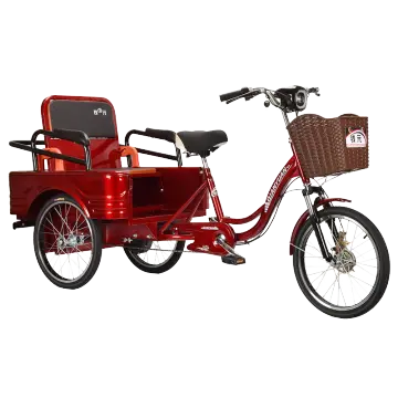 Electric folding tricycle top scooter