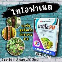 ไทโอฟาเนต - เมทิล 50 500 กรัม  ?  ป้องกันและดูดซึม โรคใบไหม้ โรคใบขีดสีน้ำตาล โรคเมล็ดด่างในข้าว โรคแผลสะเก็ด(สแคป) และโรคพืชต่างๆ