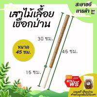 ยาว 45 ซม. หลักต้นไม้ เสาไม้เลื้อย เสาค้ำต้นไม้ เสาเชือกป่าน เชือกขาวดิบ (PVC) DIY ตกแต่งบ้าน ร้าน คอนโด สไตล์มินิมอล ทนทาน ไม่รกตา สบายตา