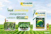 แตงร้าน สตรอง 89 f1