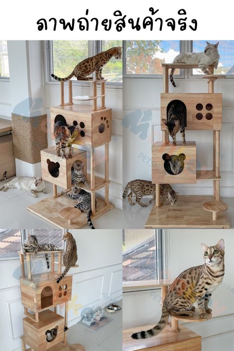 คอนโดแมวใหญ่-cat-condo-125-cm-4-ชั้น-คอนโดไม้ยางพาราทั้งหลังเคลือบ-polyurethane-ไม่บวมน้ำ-กันรา-ที่นอนแมวใหญ่-กล่องแมว-งานช่างไม้ไทย-monkey