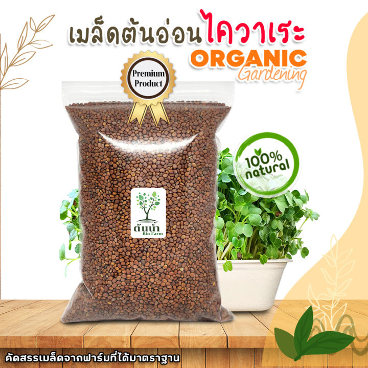 เมล็ดต้นอ่อนไควาเระ-ต้นอ่อนหัวไชเท้า-organic100-เมล็ดพันธุ์ผัก-เมล็ดสำหรับเพาะงอกพร้อมปลูก-ต้นอ่อนไควาเระ