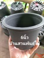 กระถาง 6 นิ้ว จัดชุด 10 ใบ