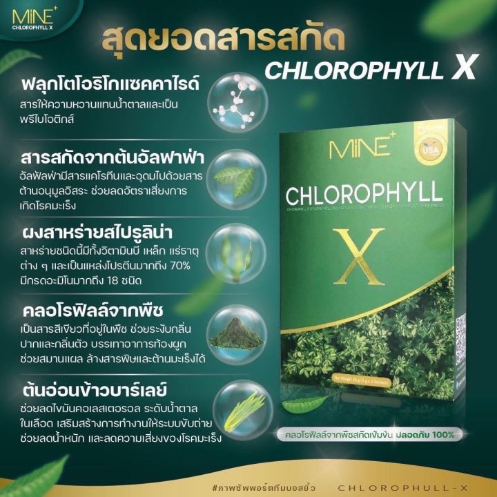 คลอโรฟิลล์มายมิ้น-คลอโรฟิลล์-x-mine-chlorophyll-x