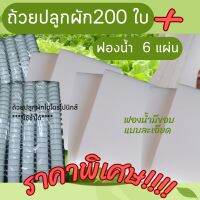 ชุดเซท ถ้วยปลูกผักไฮโดรโปนิกส์  200 ใบ +ฟองน้ำเพาะเมล็ดเนื้อละเอียด แบบมีขอบ 96 ช่อง 6 แผ่น