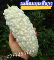 มะระสีขาว เมล็ดมะระสีขาว White Bitter Gourd Seedsบรรจุ 10เมล็ด