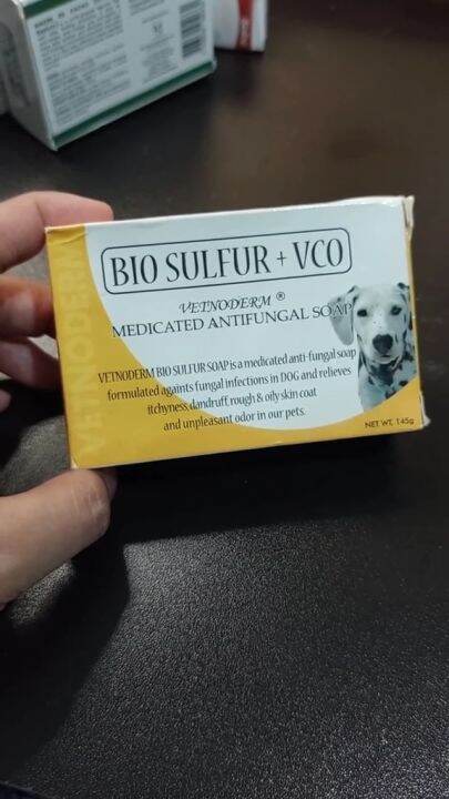 Top 10 Medicated Dog Shampoos Recommended by Veterinarians