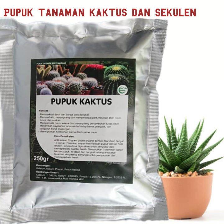 Pupuk organik tanaman kaktus dan sukulen booster perangsang agar cepat