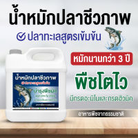 น้ำหมักปลาทะเล(ถูกสุดในตลาด) ชีวภาพ หมักนานกว่า3ปี ขนาด1000cc พิเศษ ชื้อ10แถมฟรี1