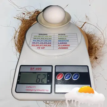Shop Digila Egg Scale with great discounts and prices online - Jan