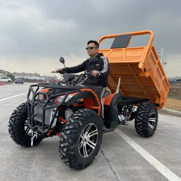 Four wheeled 2025 mountain buggy