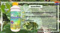 เดอะเน็กซ์ 500cc ยาคุมไข่