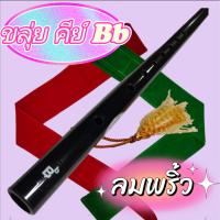 ขลุ่ยเสียงสากล คีย์ Bb รุ่น ลมพริ้ว สีดำ