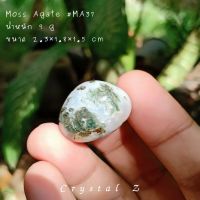 มอสอาเกต | Moss Agate #MA37 หินธรรมชาติ หินสะสม