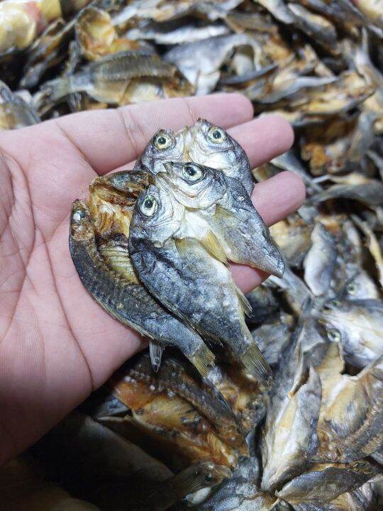 DRIED AYUNGIN UNSALTED DRIED FISH 1KG Lazada PH