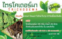 ไตรโคเดอร์มา Trichoderma ใชัป้องกัน กำจัดเชื้อรา Organic 100%