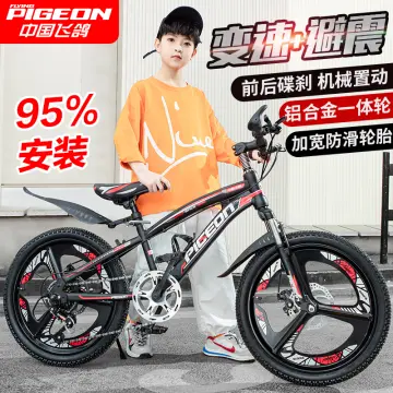 Flying wheel 2024 cycle price