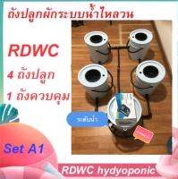 ถังปลูกระบบน้ำไหลวน ถังปลูกไฮโดรโปรนิค RDWC