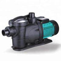 ปั๊มสระว่ายน้ำ Swimming pool pump ปั๊มสระน้ำ 220V ปั๊มน้ำ