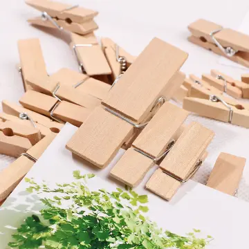 100Pcs Mini Clothes Pins for Photo, Small Clothespins Wooden Rainbow  Colorful Picture Clips, Mini Natural Wooden Clothespin, Display Artwork,  Hanging