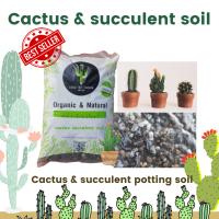 ดินปลูก cactus succulent premium grade