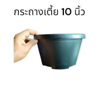 กระถางทรงเตี้ย 10 นิ้ว (ชุด10ใบ)