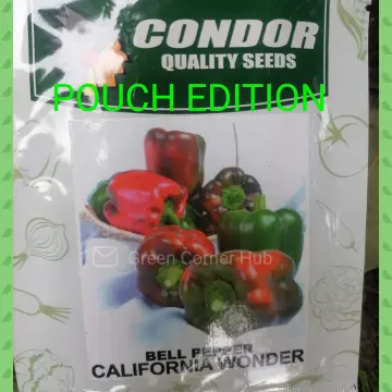 Bell Pepper - Yolo Wonder Seeds