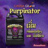 Rhizoflora Perpinator ปุ๋ยเพิ่มสี กระตุ้นสี และ รสชาติ ขนาด 50ml 100ml